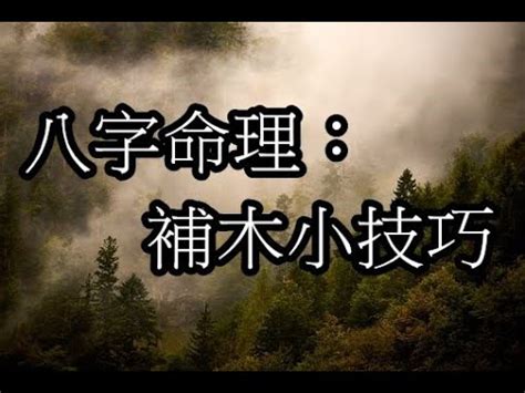 五行缺木怎麼補|【缺木怎麼補】五行缺木！必看！快速補足五行木屬的補救招數